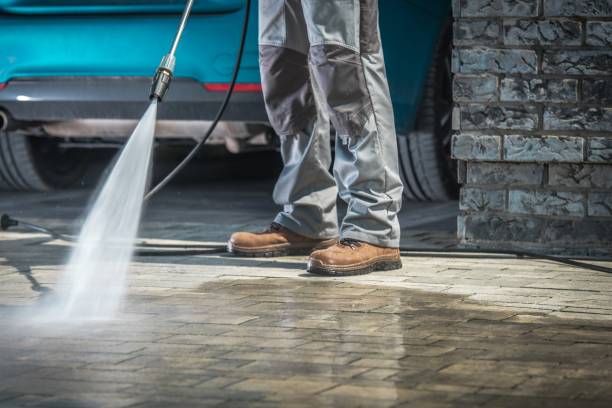 Best Dumpster Area Cleaning  in Hauppauge, NY